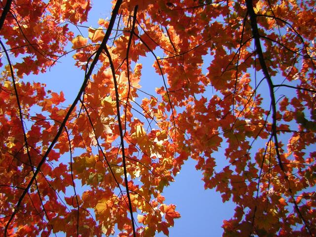 DSCN0508.jpg