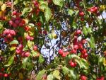 DSCN0510.jpg