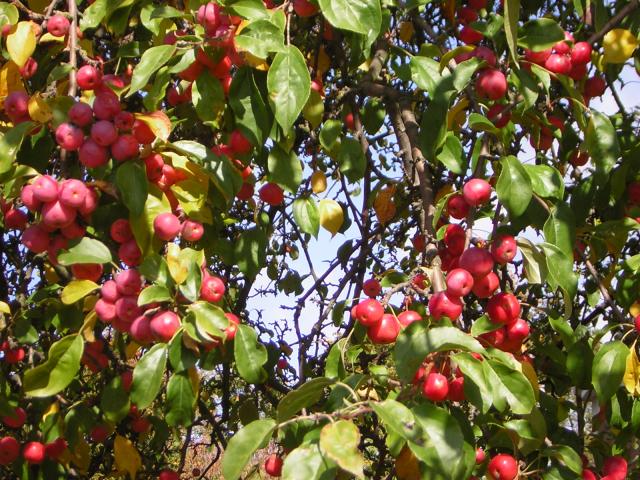 DSCN0510.jpg