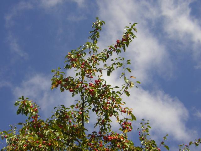 DSCN0511.jpg