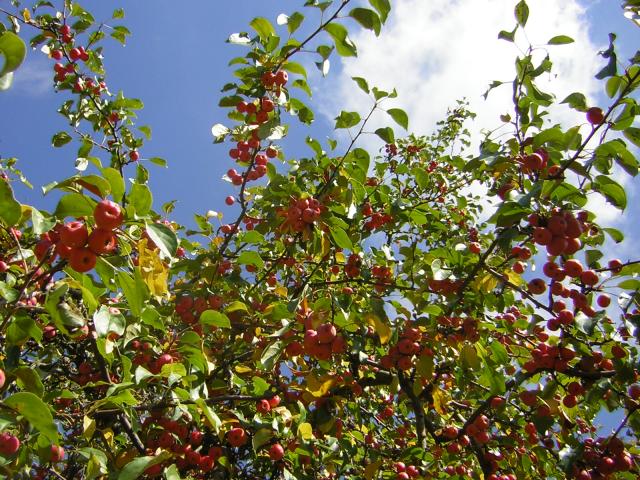 DSCN0515.jpg