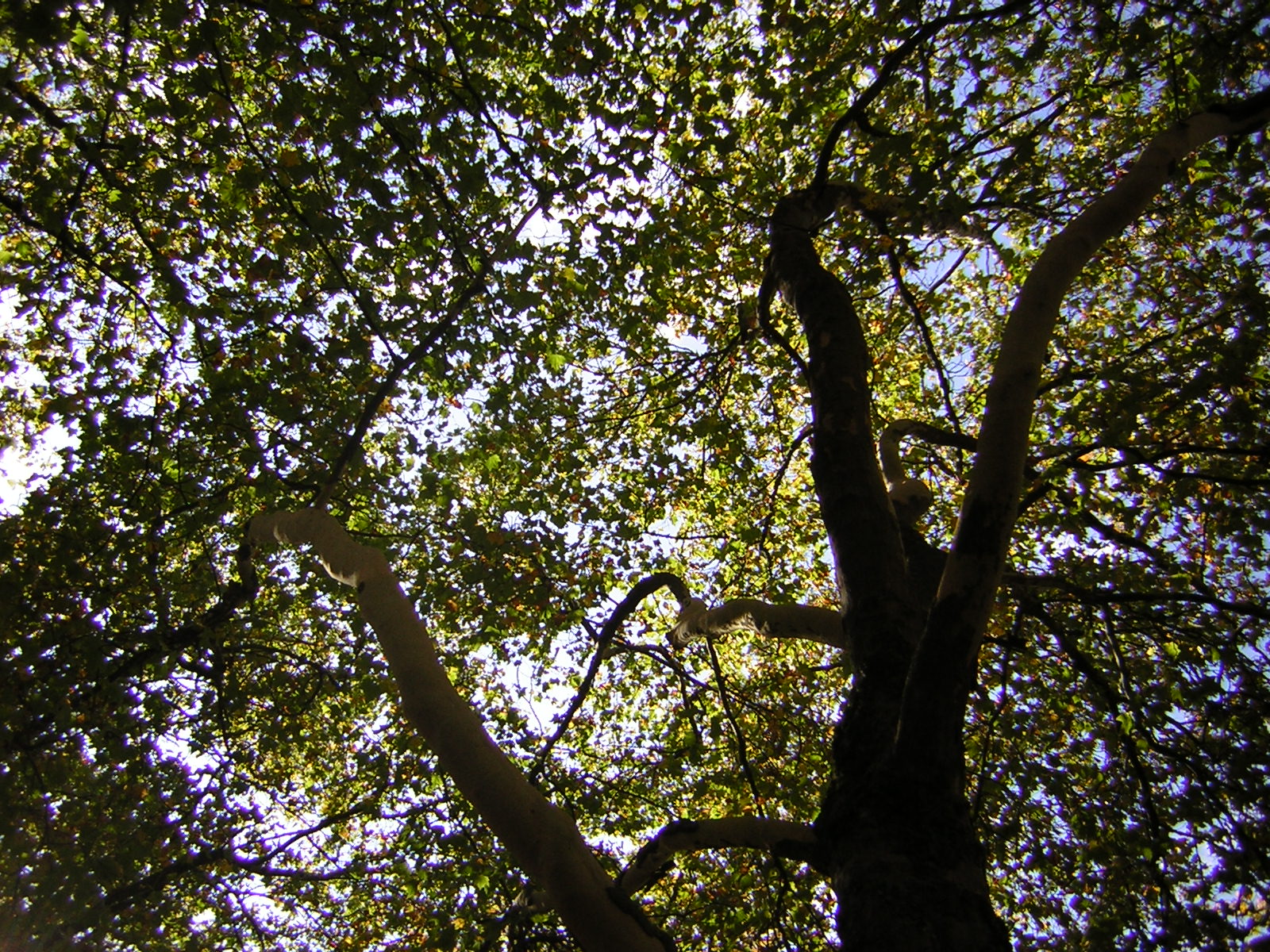 DSCN0516.jpg