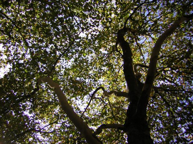 DSCN0516.jpg