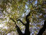DSCN0517.jpg