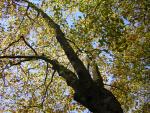 DSCN0518.jpg