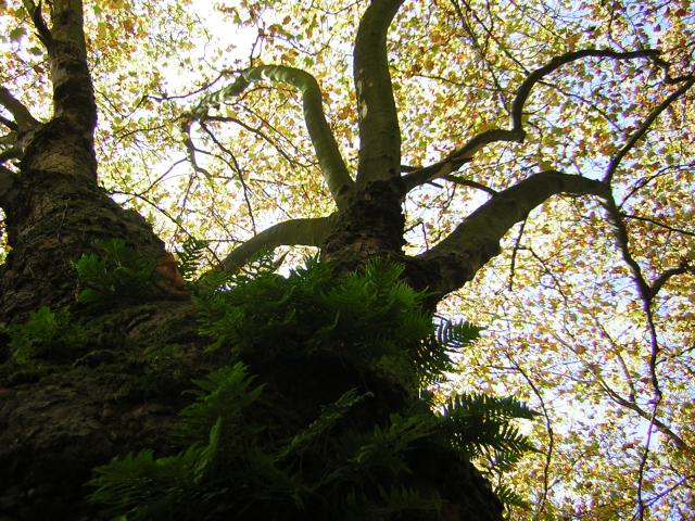 DSCN0519.jpg