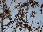 DSCN0562.jpg