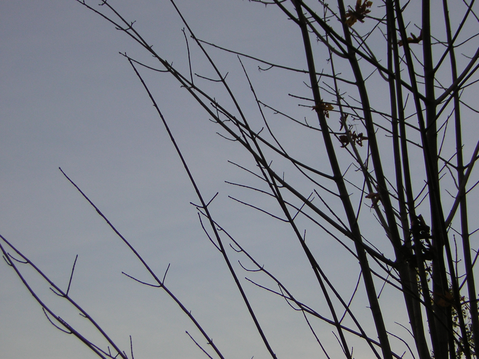 DSCN0564.jpg