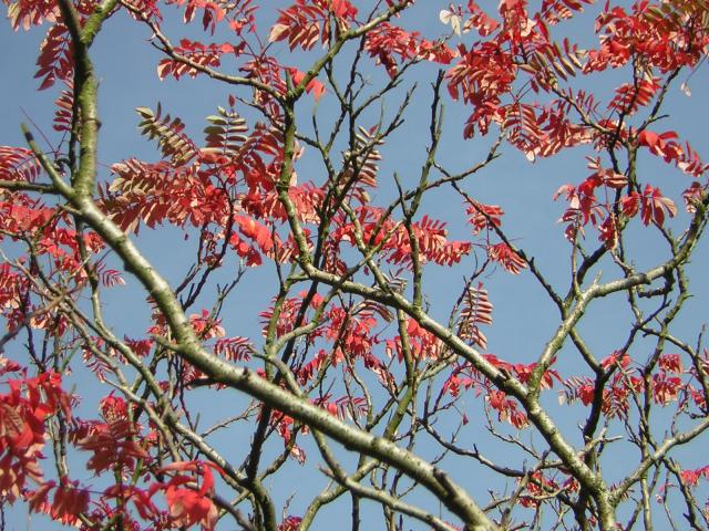 DSCN0566.jpg