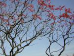 DSCN0568.jpg