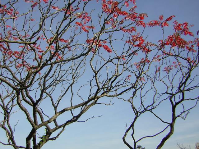 DSCN0568.jpg