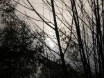 DSCN0658.jpg