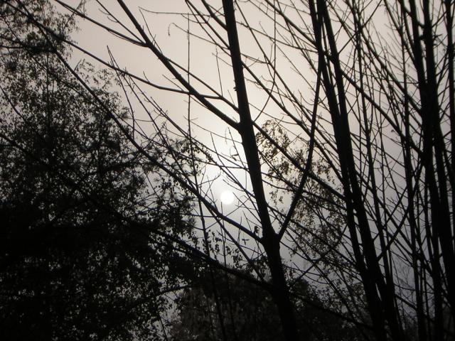 DSCN0658.jpg