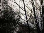 DSCN0659.jpg