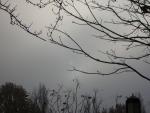 DSCN0660.jpg