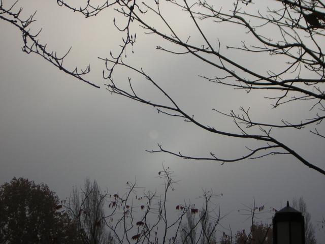 DSCN0660.jpg