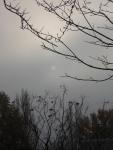 DSCN0661.jpg