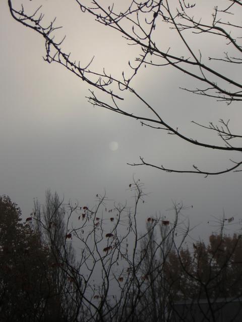 DSCN0661.jpg