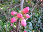 DSCN1185.jpg