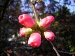 DSCN1186.jpg