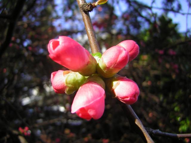 DSCN1186.jpg