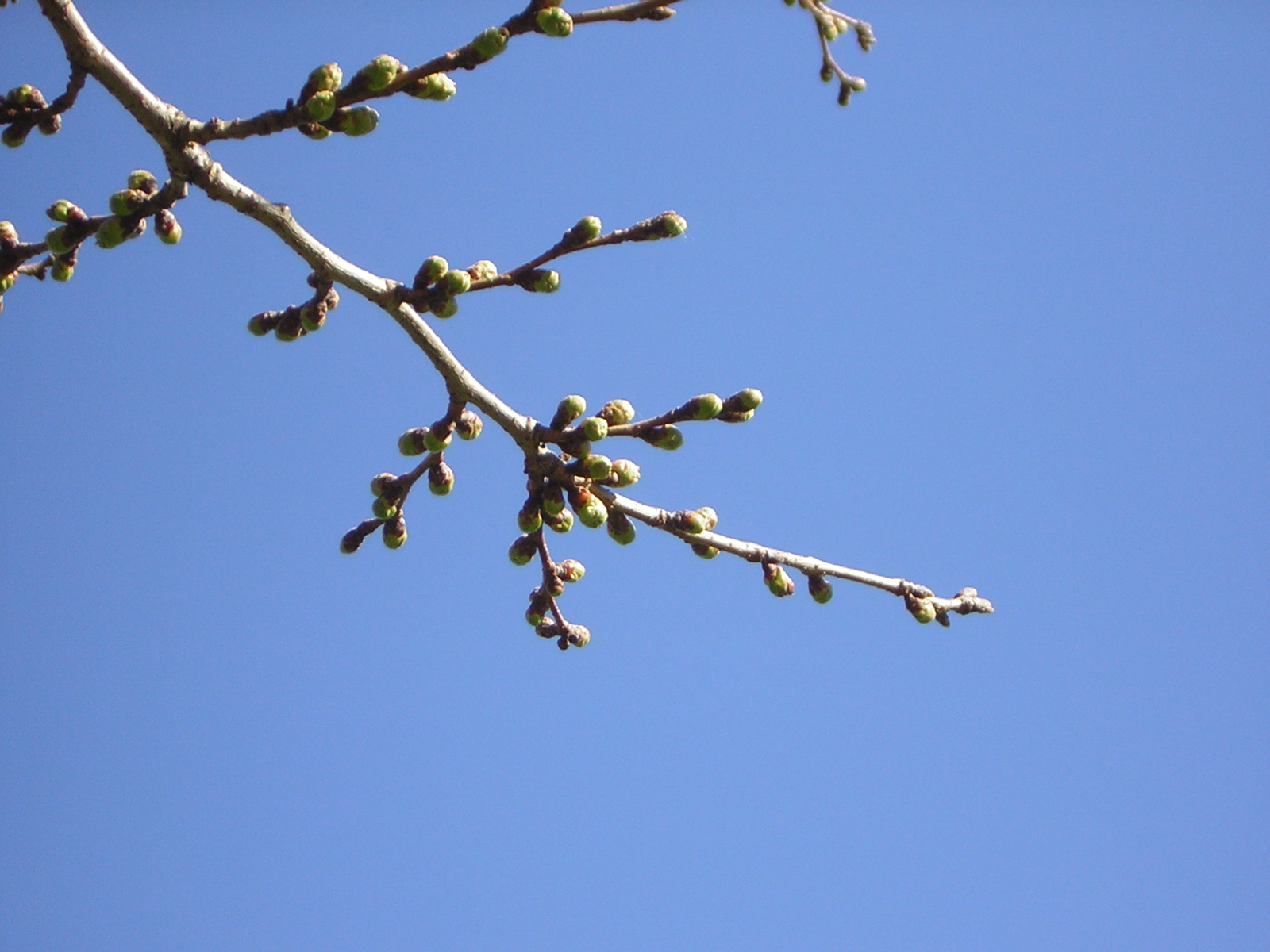 DSCN1208.jpg
