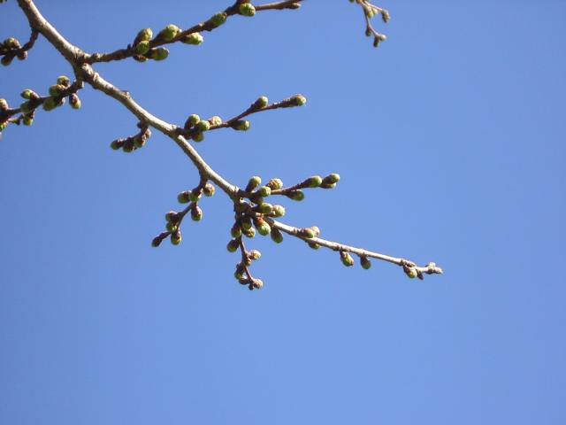 DSCN1208.jpg