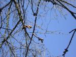 DSCN1209.jpg