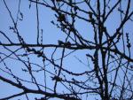 DSCN1210.jpg