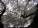 DSCN1224.jpg