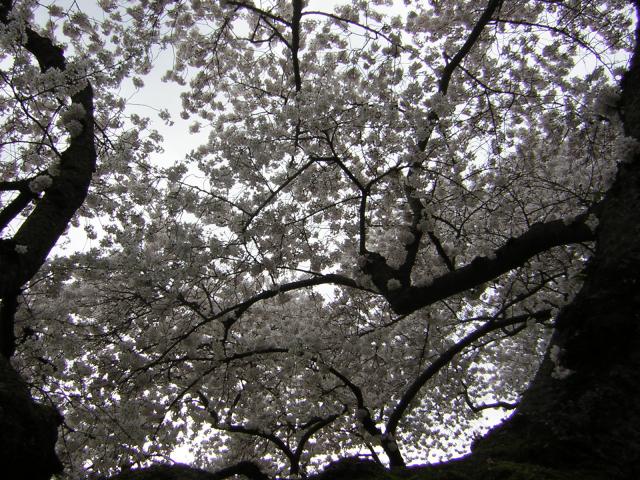 DSCN1224.jpg