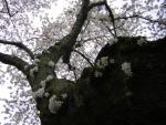 DSCN1225.jpg
