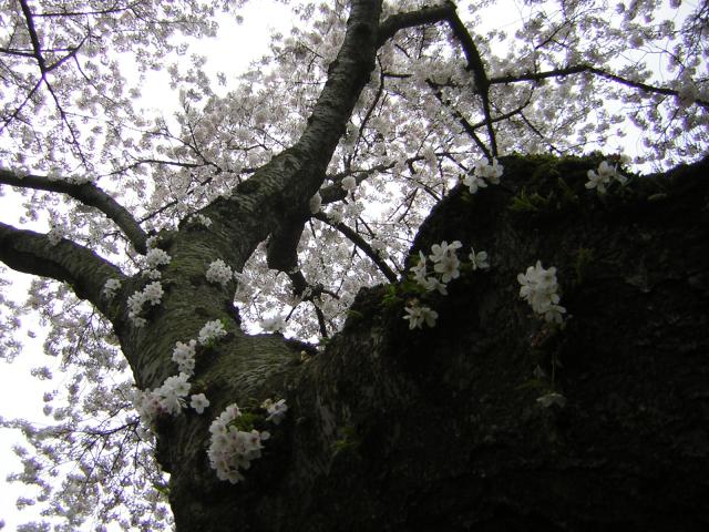 DSCN1225.jpg