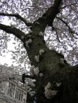 DSCN1226.jpg