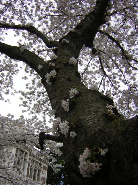 DSCN1226.jpg