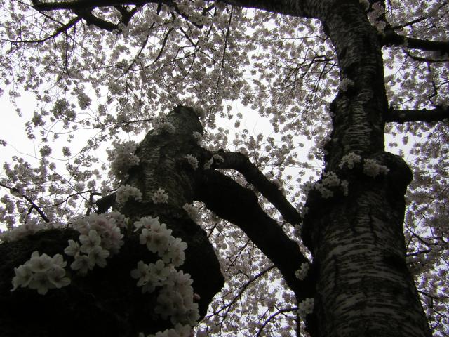 DSCN1228.jpg