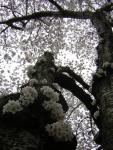 DSCN1229.jpg