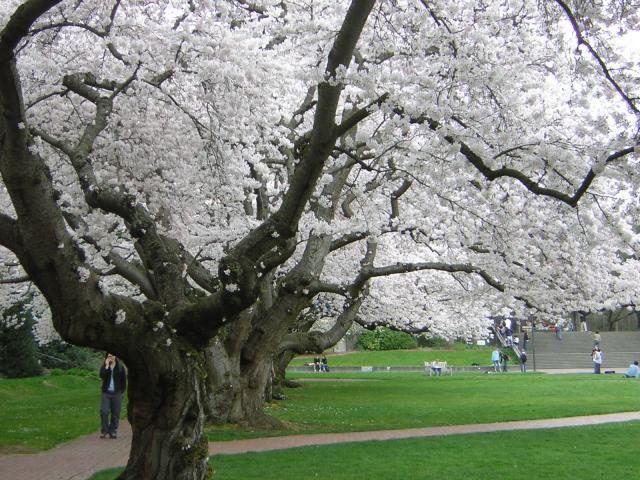 DSCN1230.jpg