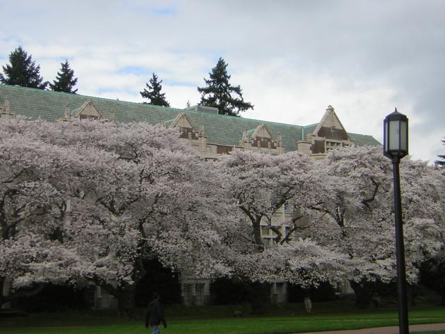 DSCN1232.jpg