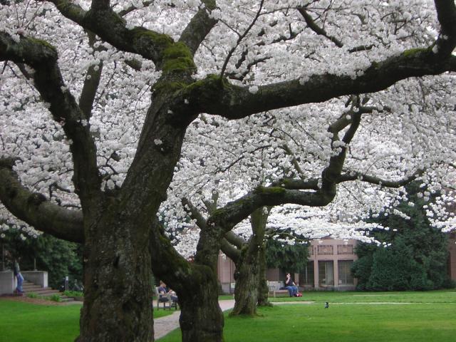 DSCN1233.jpg