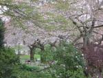 DSCN1368.jpg