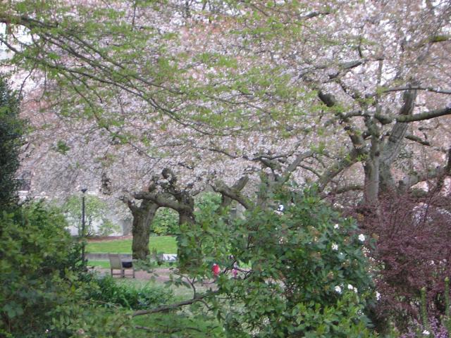 DSCN1368.jpg