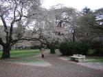 DSCN1369.jpg