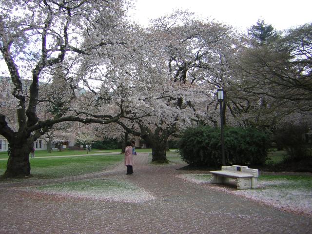 DSCN1369.jpg