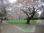 DSCN1370.jpg