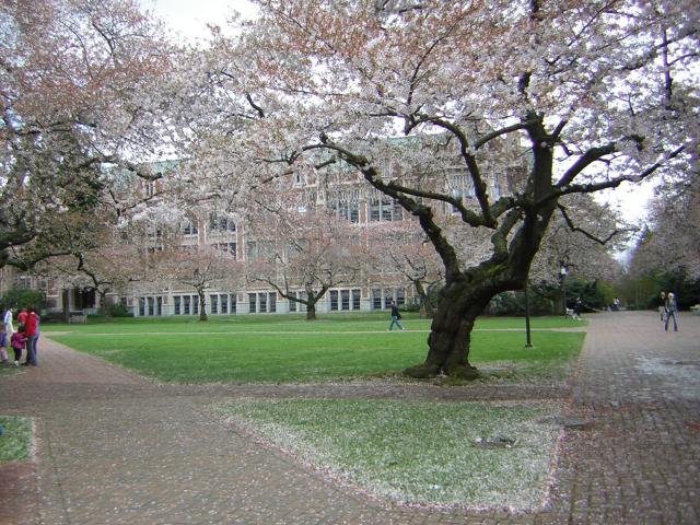DSCN1370.jpg