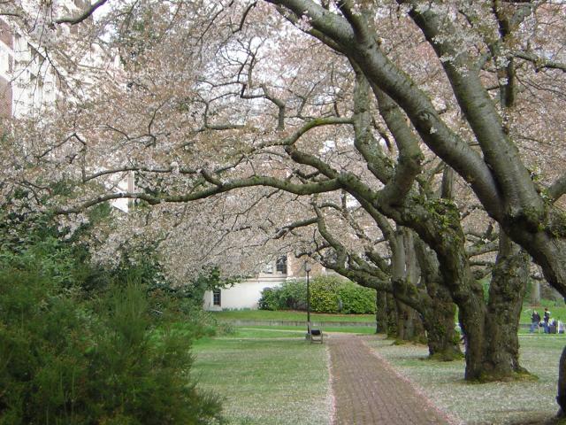 DSCN1372.jpg