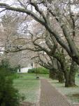 DSCN1373.jpg