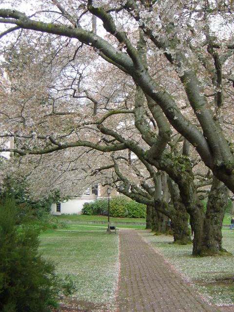 DSCN1373.jpg