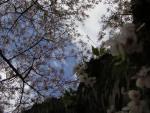 DSCN1374.jpg